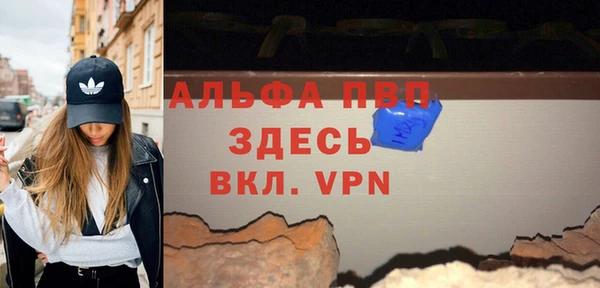 прущие грибы Надым