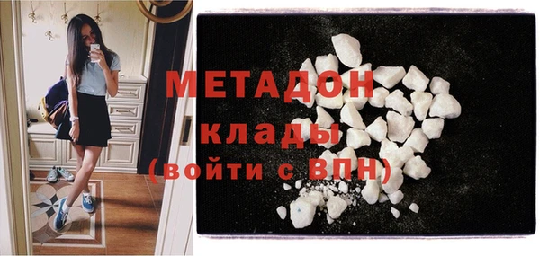 прущие грибы Надым