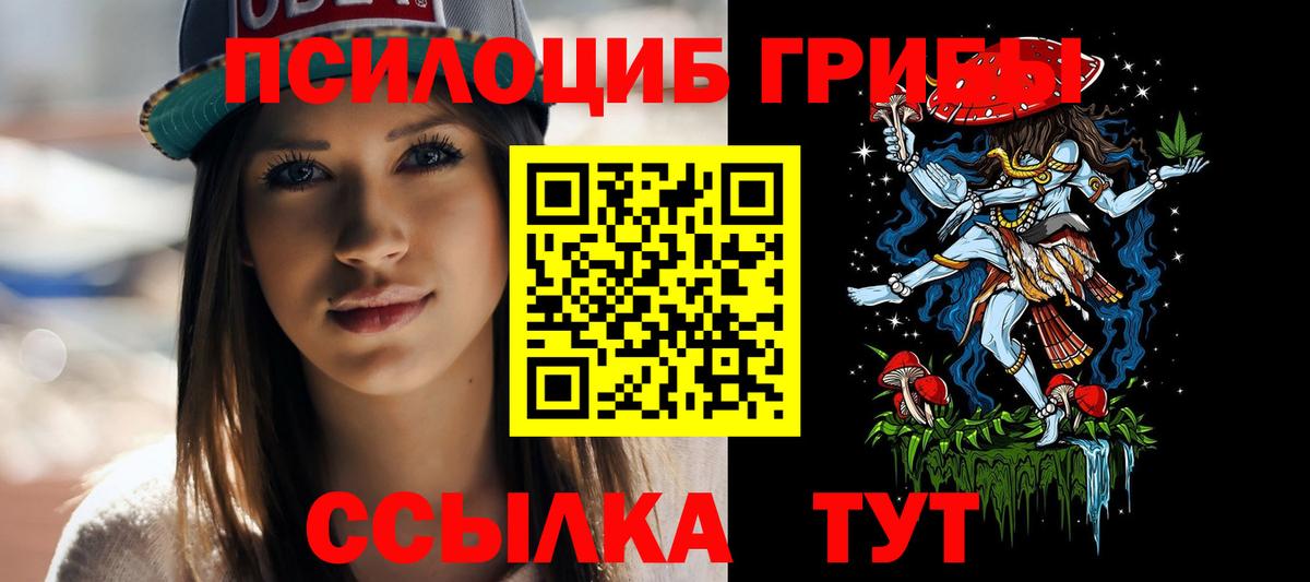 Камышлов  Псилоцибиновые грибы мухоморы  Вход с VPN 