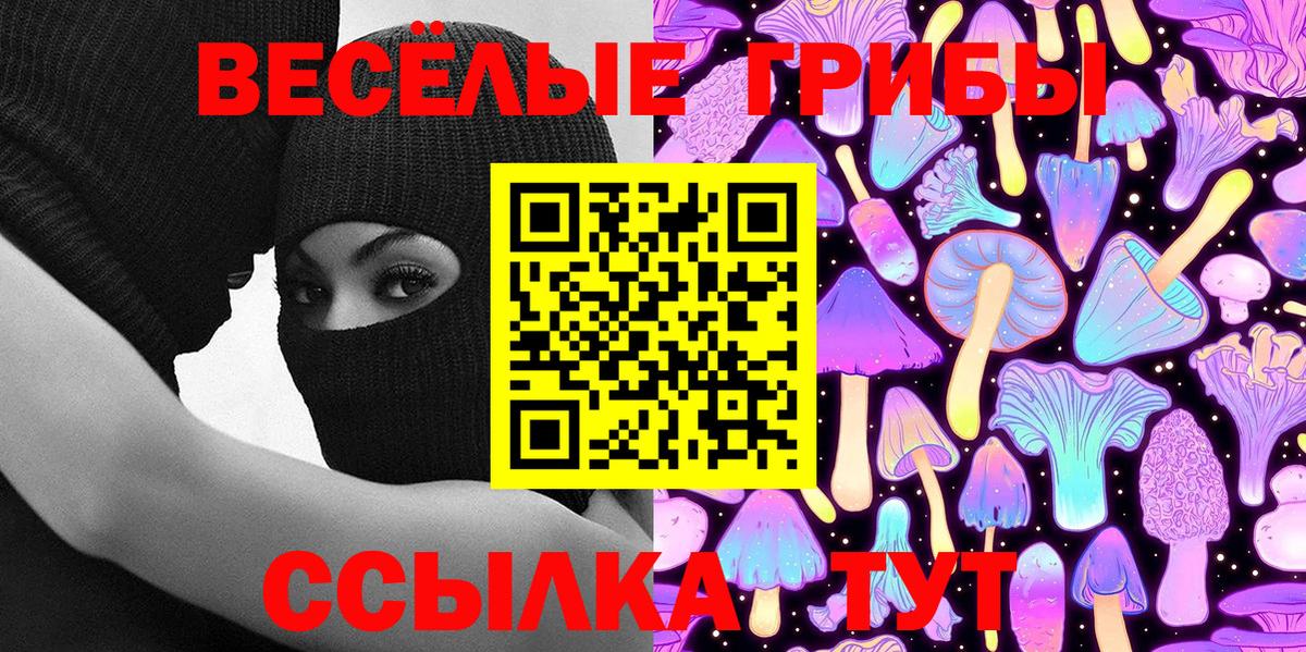 Псилоцибиновые грибы GOLDEN TEACHER Камышлов