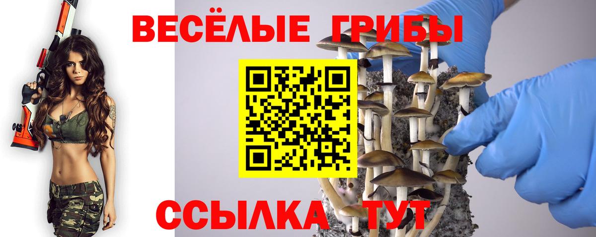 Галлюциногенные грибы MAGIC MUSHROOMS  Камышлов  Псилоцибиновые грибы Psilocybe 