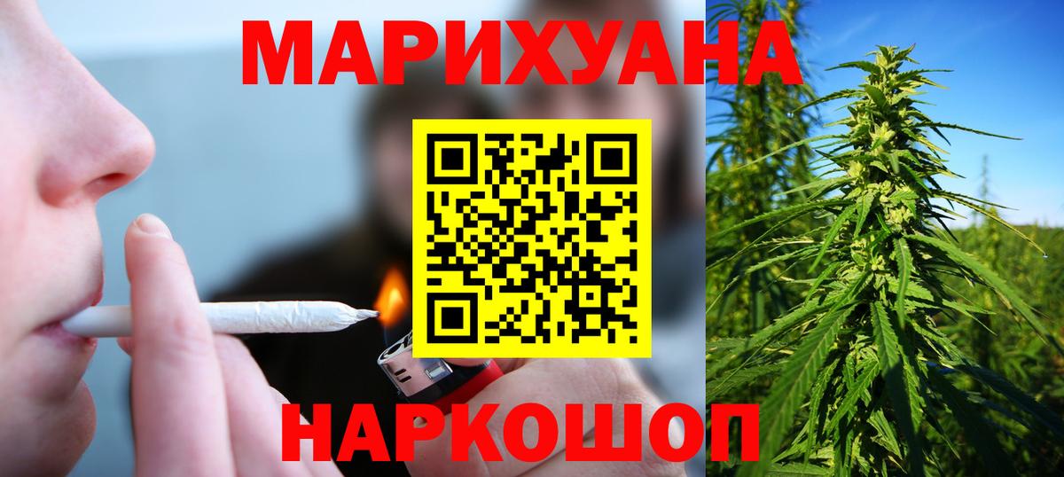 Конопля гибрид  Вход с VPN  Каннабис сатива  Камышлов 