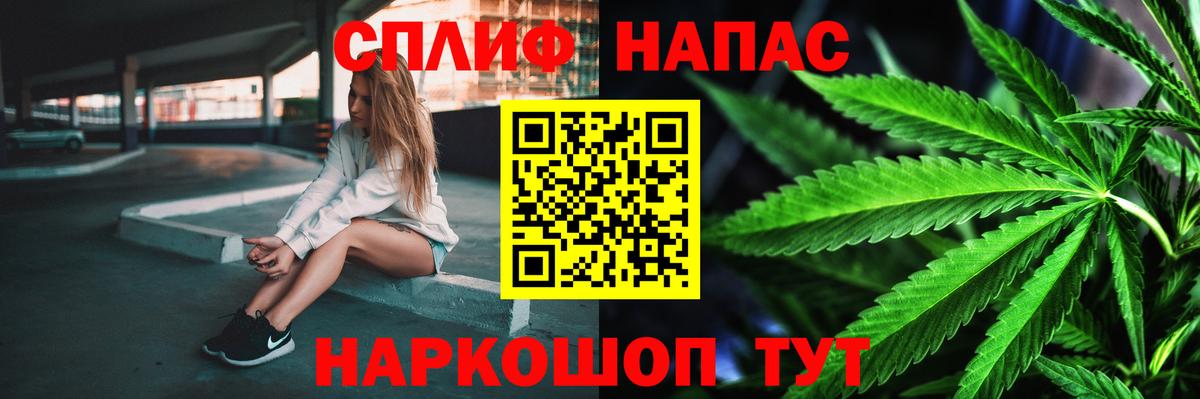 Каннабис OG Kush Камышлов